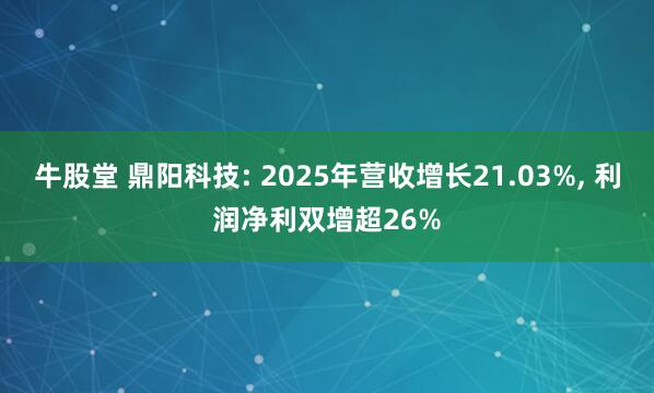 牛股堂 鼎阳科技: 2025年营收增长21.03%, 利润净利双增超26%